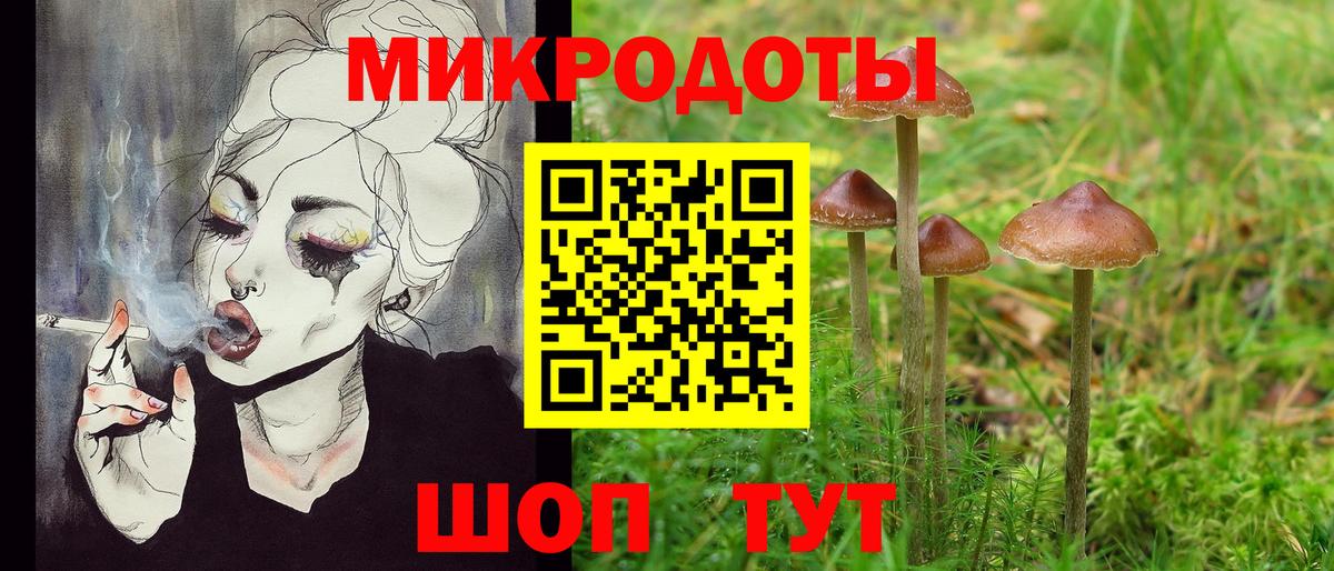 Псилоцибиновые грибы Psilocybe Касимов